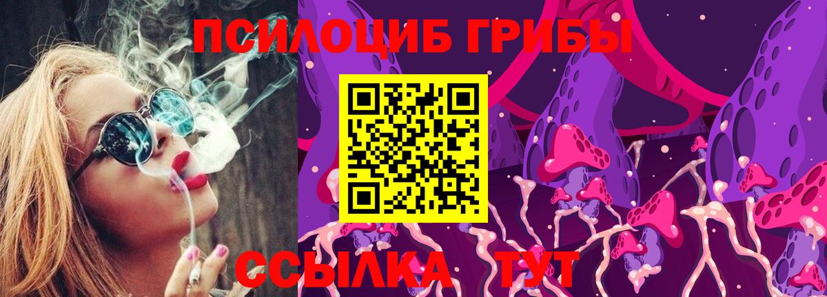 Галлюциногенные грибы мицелий Лесозаводск