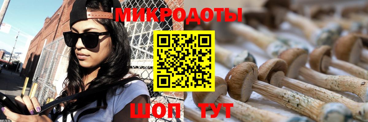 Лесозаводск  Псилоцибиновые грибы мицелий  Вход с VPN 